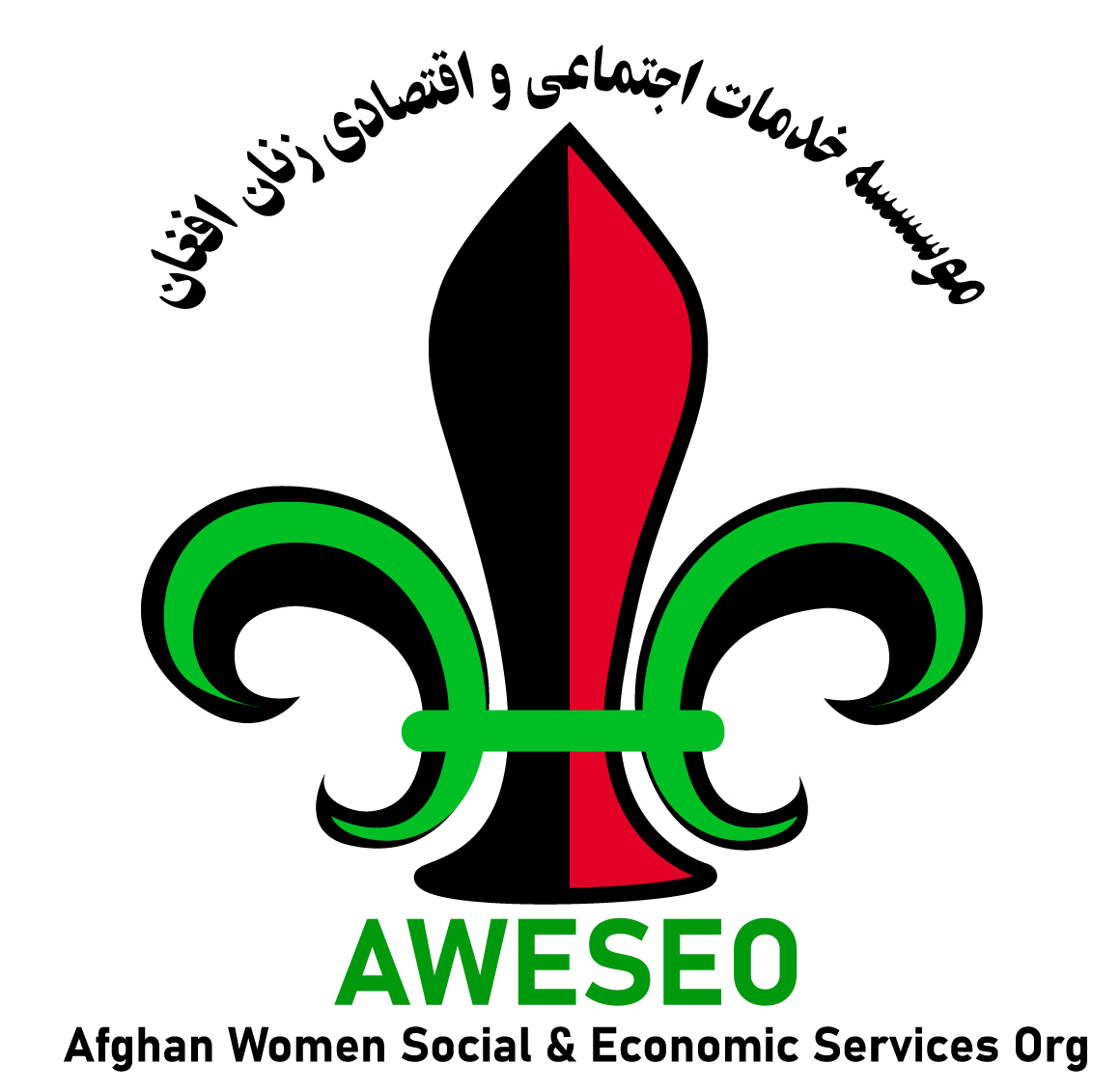 Afghan Women Social and Economical Services Organization
